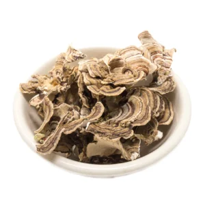 Buy-Medicinal-Mushrooms-Los-Angeles-CA