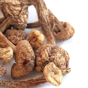 dried-blazei-mushrooms_2